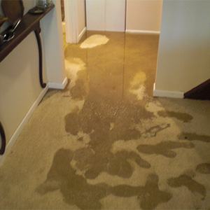 water-damage-restoration-mn